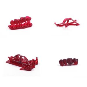 Harz Labs Dental Cast